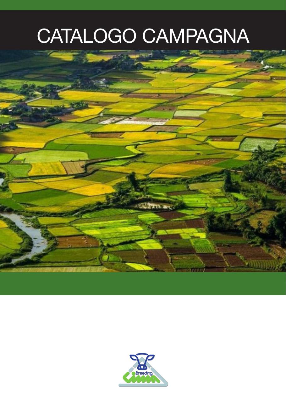 Campagna