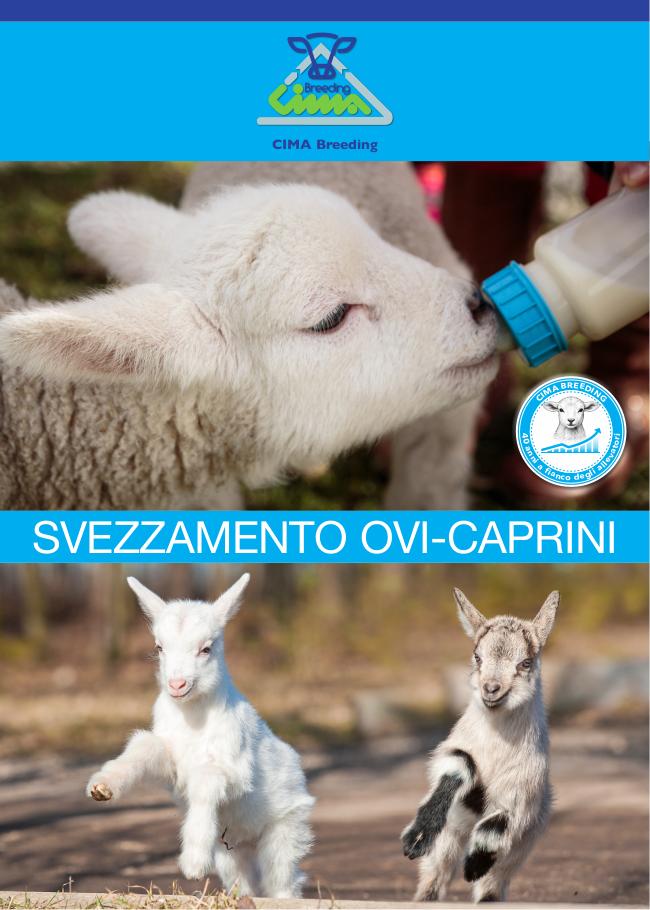 Ovi-caprini