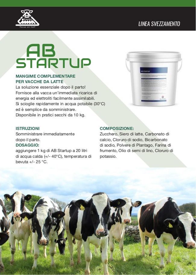 AB Start Up