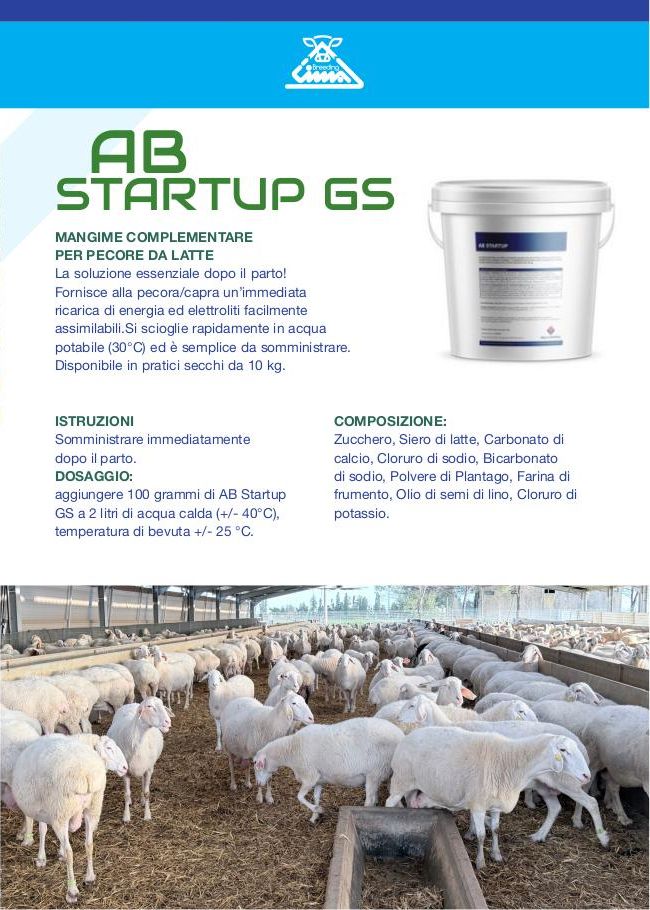 AB Startup GS