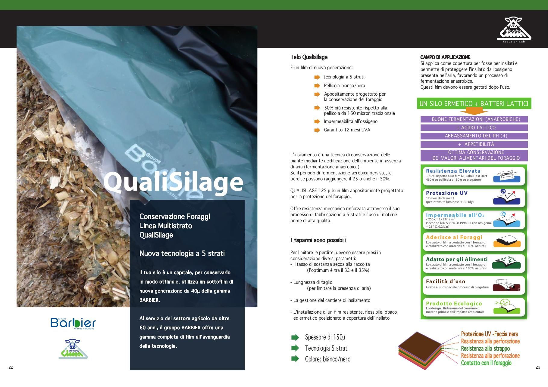 Qualisilage