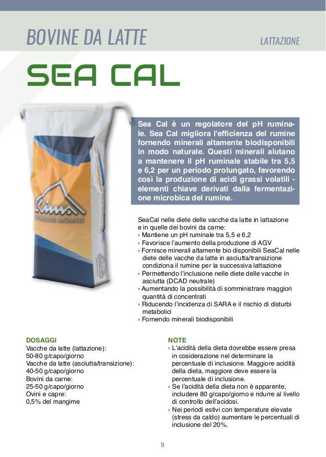 Sea Cal