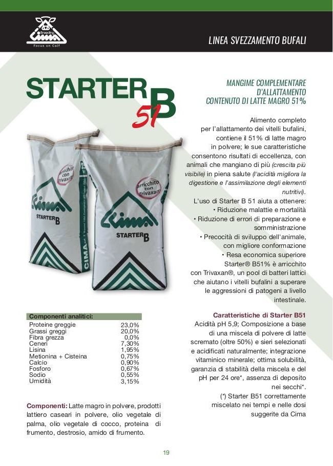 Starter B51