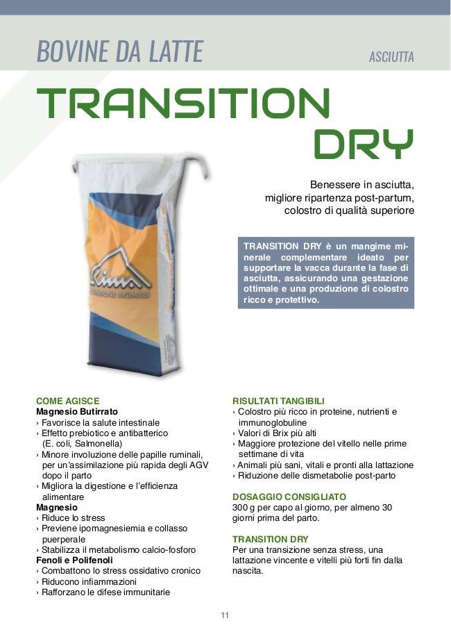 Transition Dry